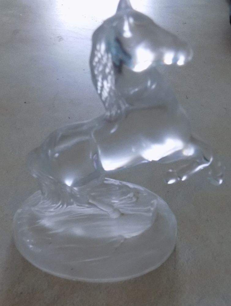 Cheval cabr� 5 La Motte-d'Aveillans (38)