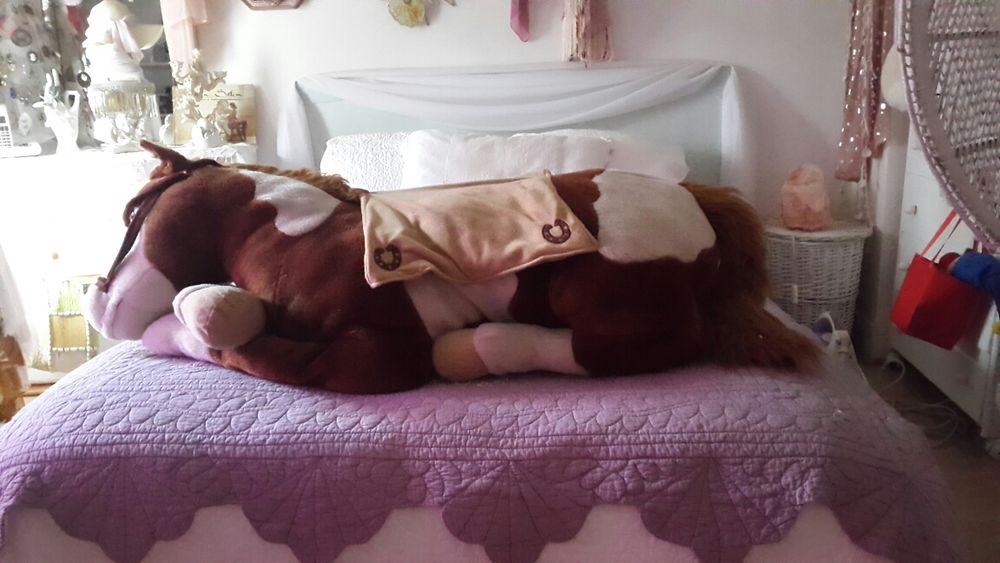 cheval peluche.. 20 Fontainebleau (77)