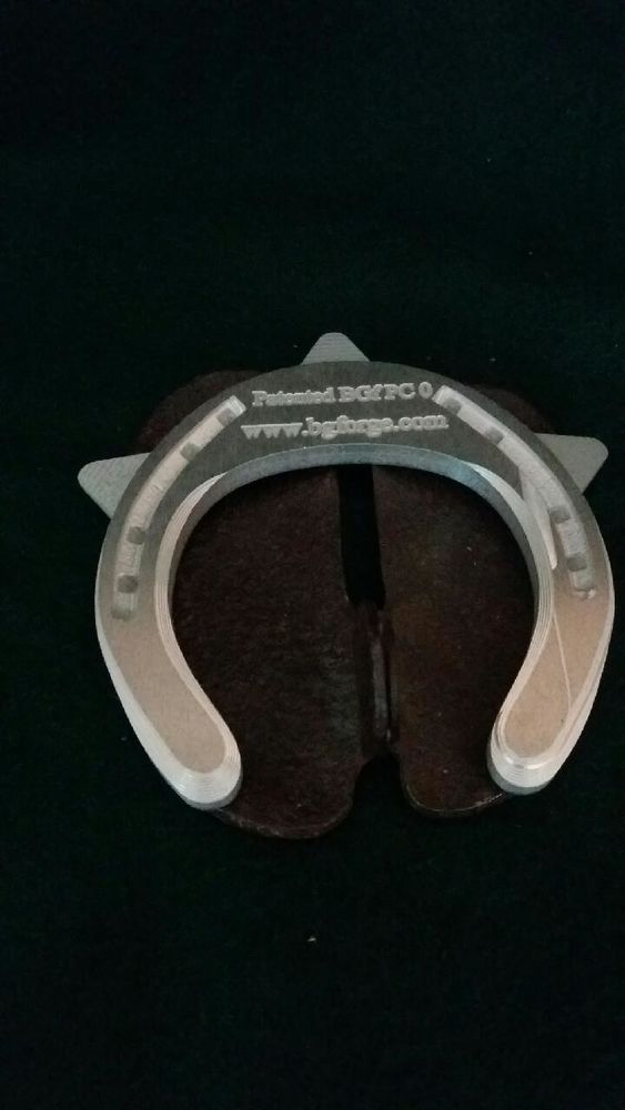 Fer � cheval sign� Bg Forge 30 Le Plessis-P�t� (91)