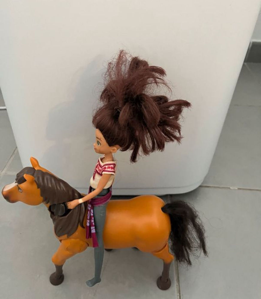 Cheval Spirit et sa cavali�re Lucky 25 Toulouse (31)