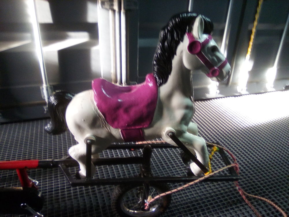 Cheval Sully enfant 0 S�te (34)