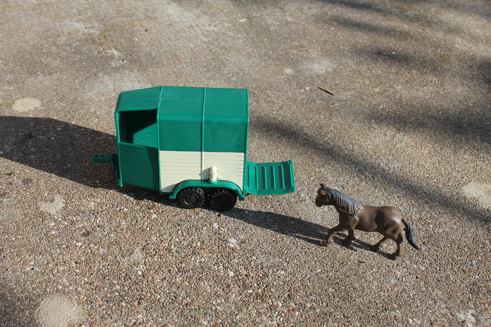 annonce van chevaux occasion