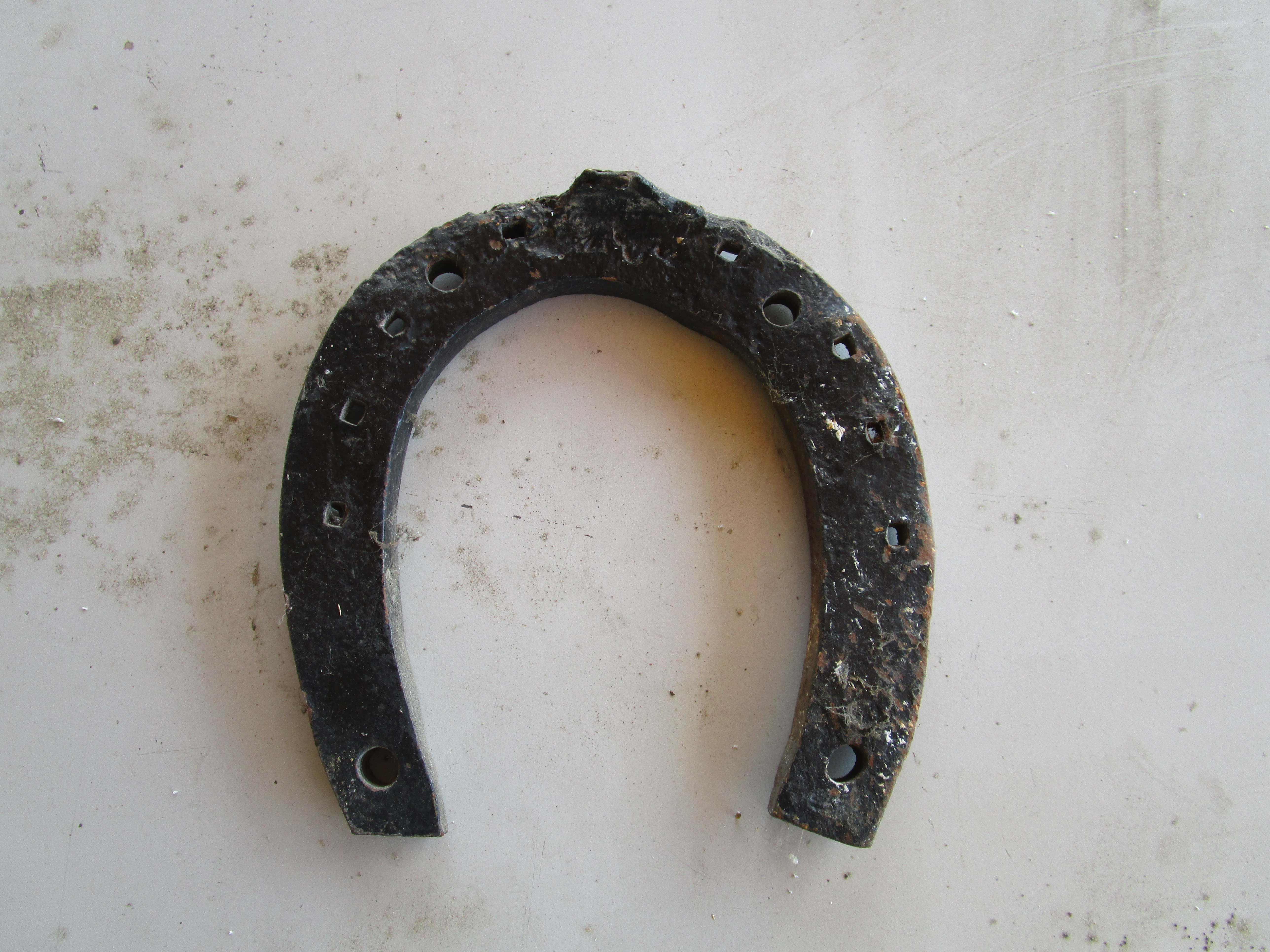 Fer a Cheval 20 Illzach (68)