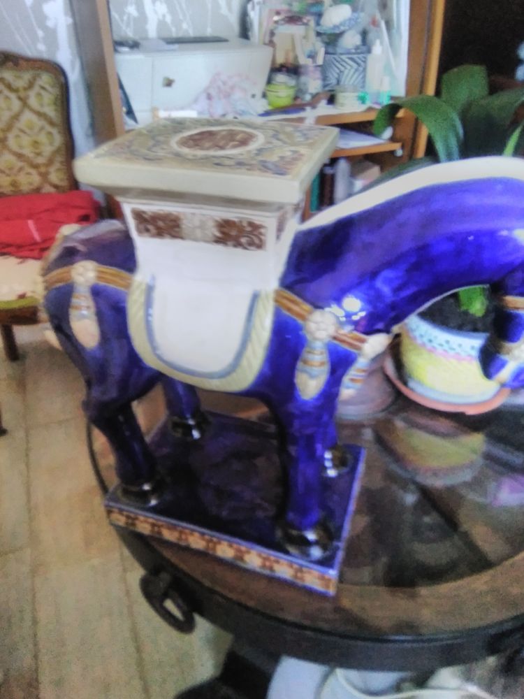 cheval 45 Roanne (42)