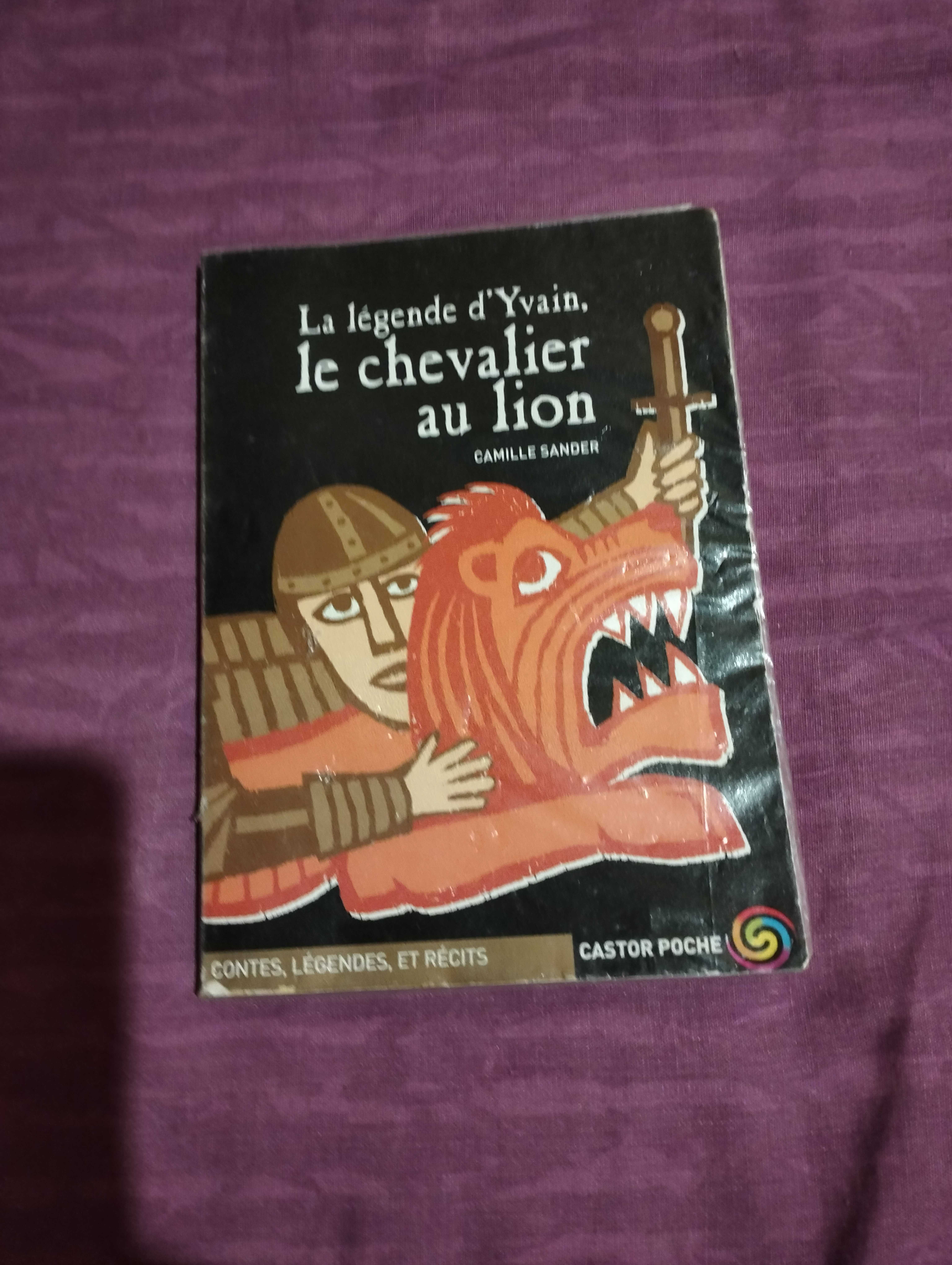 le chevalier au lion 0 Roannes-Saint-Mary (15)