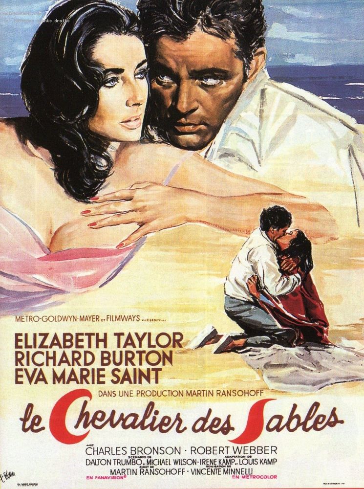 LE CHEVALIER DES SABLES 0 Malo Les Bains (59)