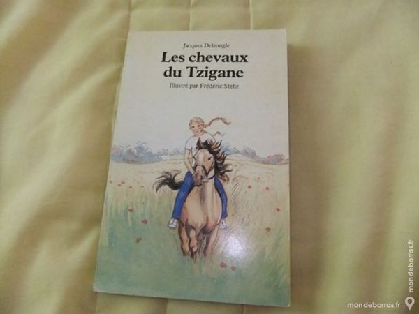 Les chevaux Tzigane 2 Thiais (94)