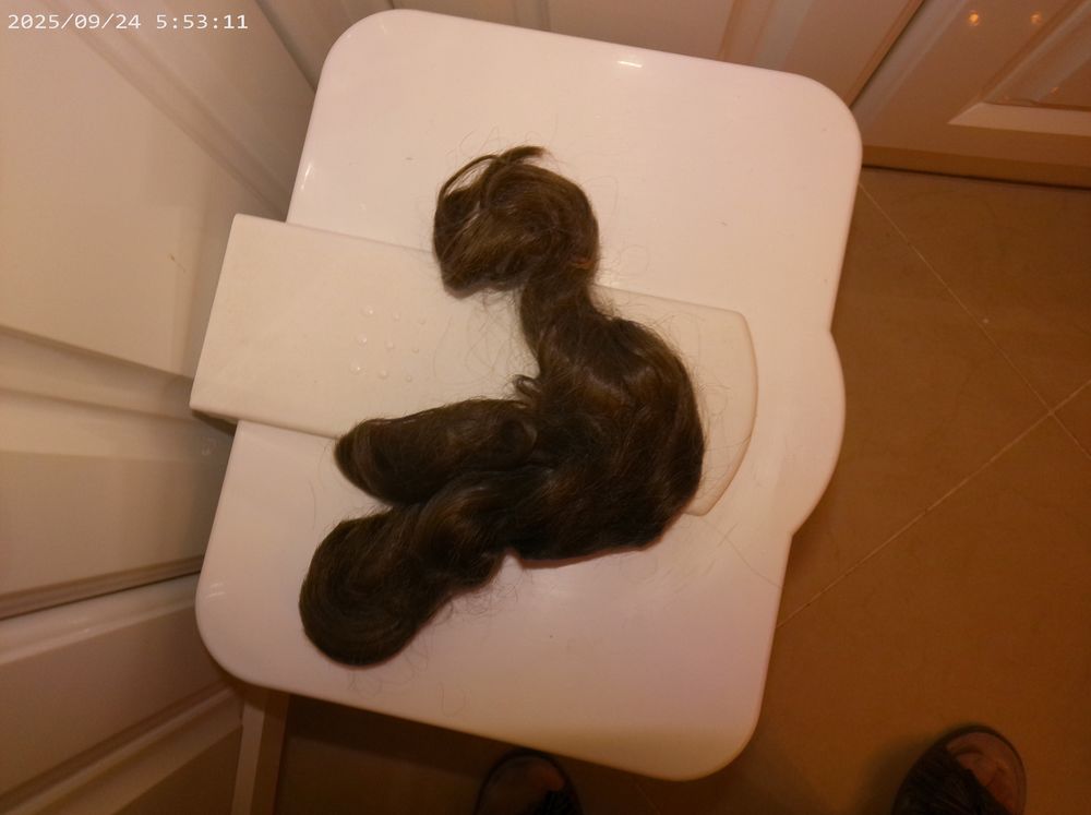 cheveux naturels 32 cm 100 Agde (34)