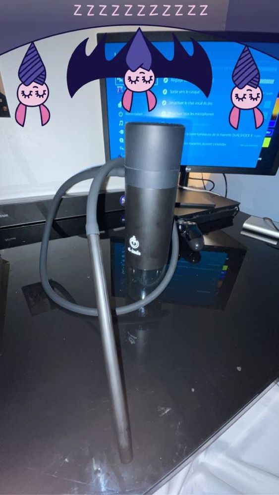 Chicha El badia p1 30 Crozet (01)