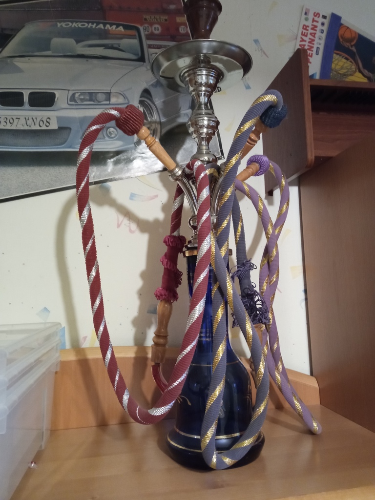 Chicha Multicolore � Quatre Tuyaux 25 Pouilly-l�s-Feurs (42)