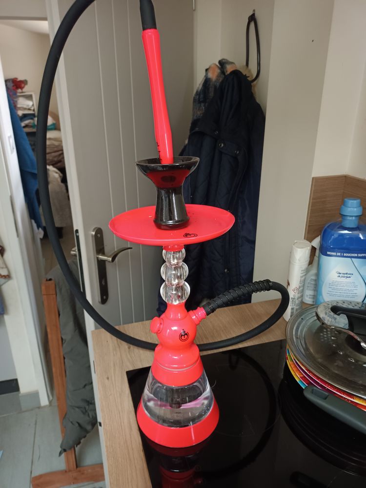 Chicha neuve 50 Rochefort (17)