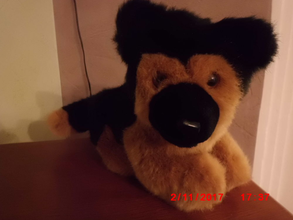 CHIEN BABY CLUB C&A 15 Oignies (62)