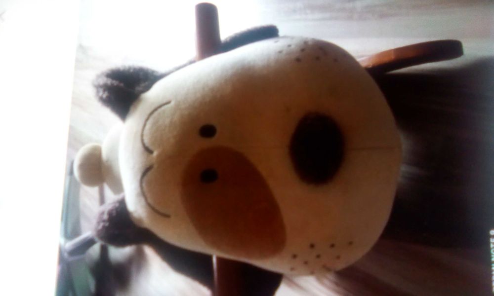 chien a bascule 10 Graulhet (81)