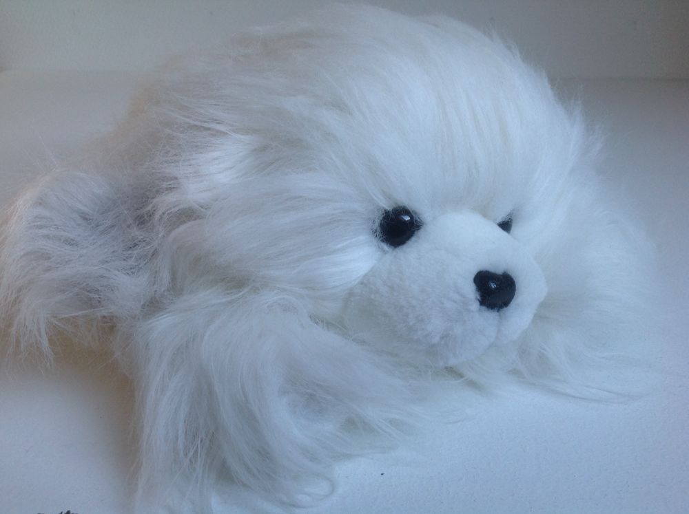 CHIEN BLANC EN PELUCHE AJENA NEUVE Envoi possible
8 Tr�gunc (29)