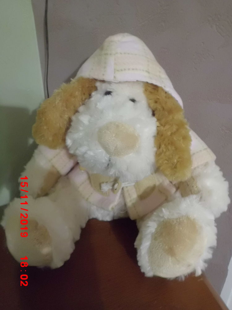 CHIEN ECRU ET BEIGE LESSER PAVEY 16 Oignies (62)