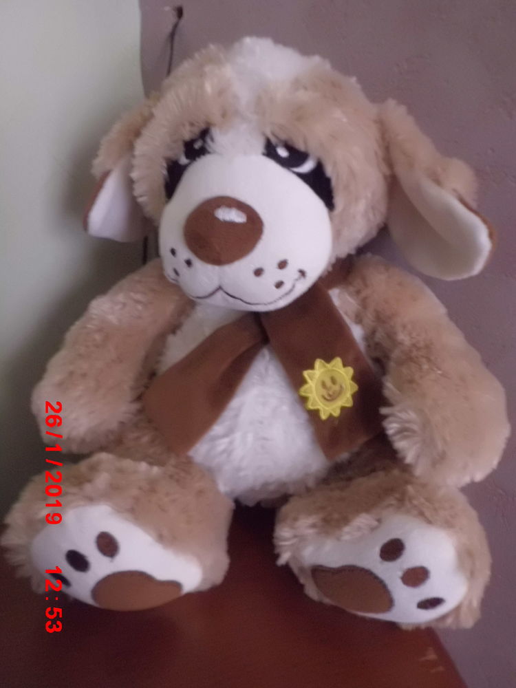 CHIEN MARRON BLANC ET BEIGE SMALL FOOT 18 Oignies (62)