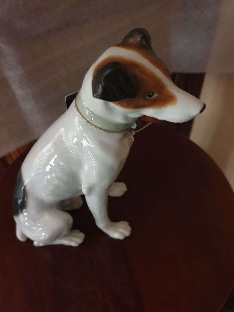 chien miniature de collection 21 Le Chastang (19)