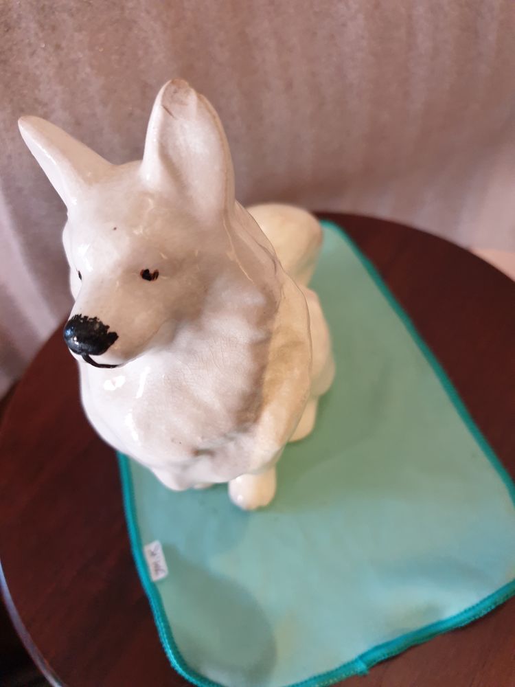 chien miniature de collection 5 Le Chastang (19)