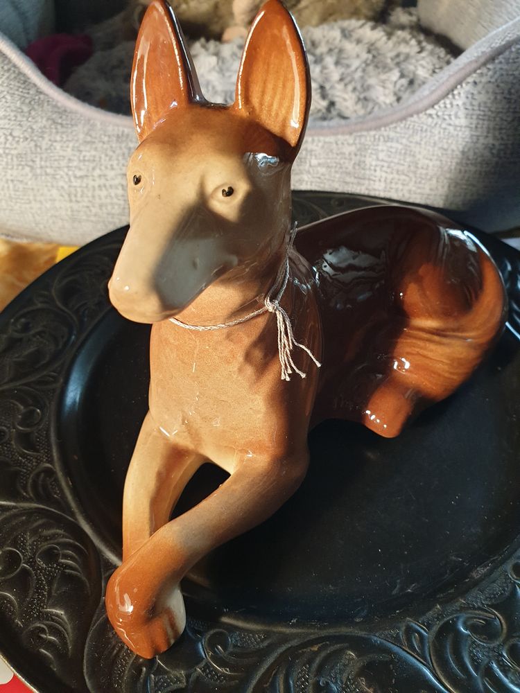 chien miniature de collection 15 Le Chastang (19)