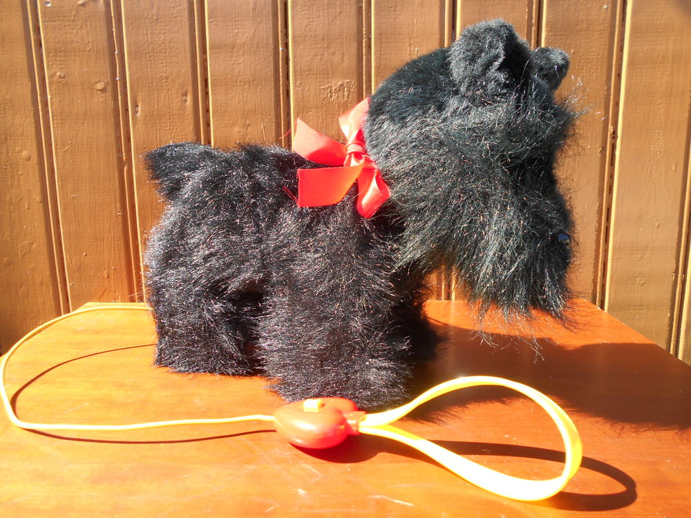 CHIEN PELUCHE   Scotch Terrier   12 Dammarie-les-Lys (77)