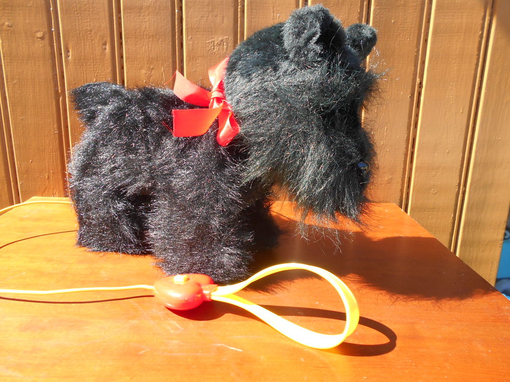 CHIEN PELUCHE   Scotch Terrier   12 Dammarie-les-Lys (77)