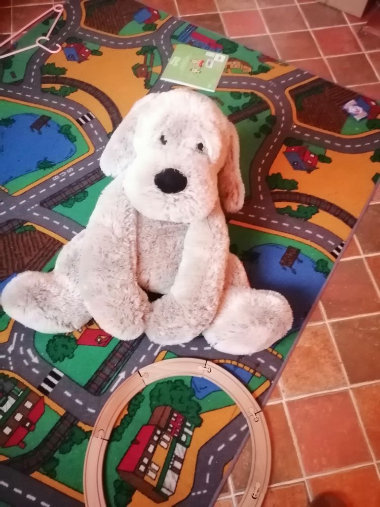 CHIEN EN PELUCHE 15 Coudray (27)
