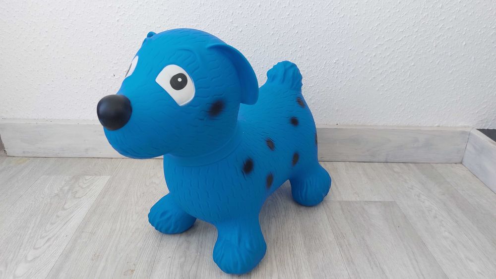 Chien sauteur bleu 4 Toulon (83)