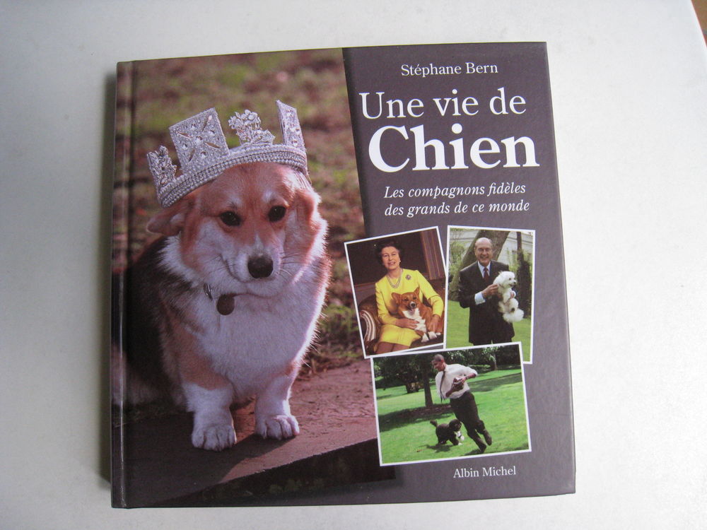 Une vie de chien, St�phane Bern 4 Saint-Ismier (38)