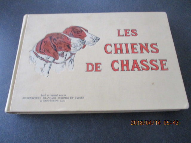 Les chiens de chasse 18 Castres (81)