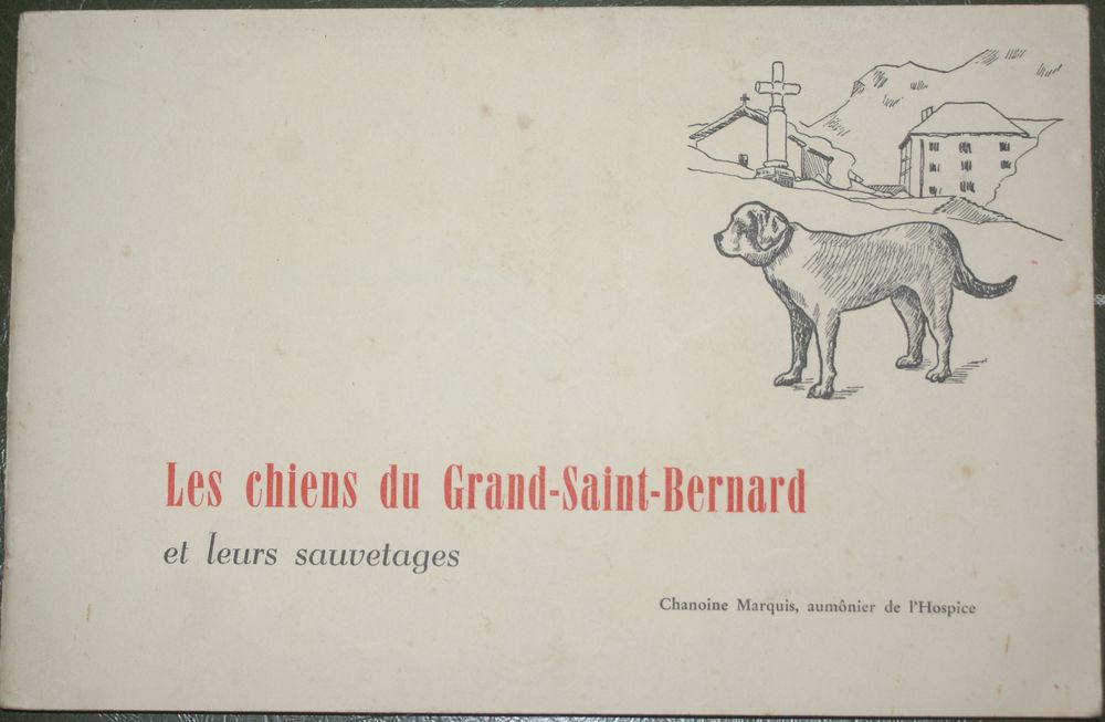Les chiens du Grand-Saint-Bernard 55 Montcy-Notre-Dame (08)