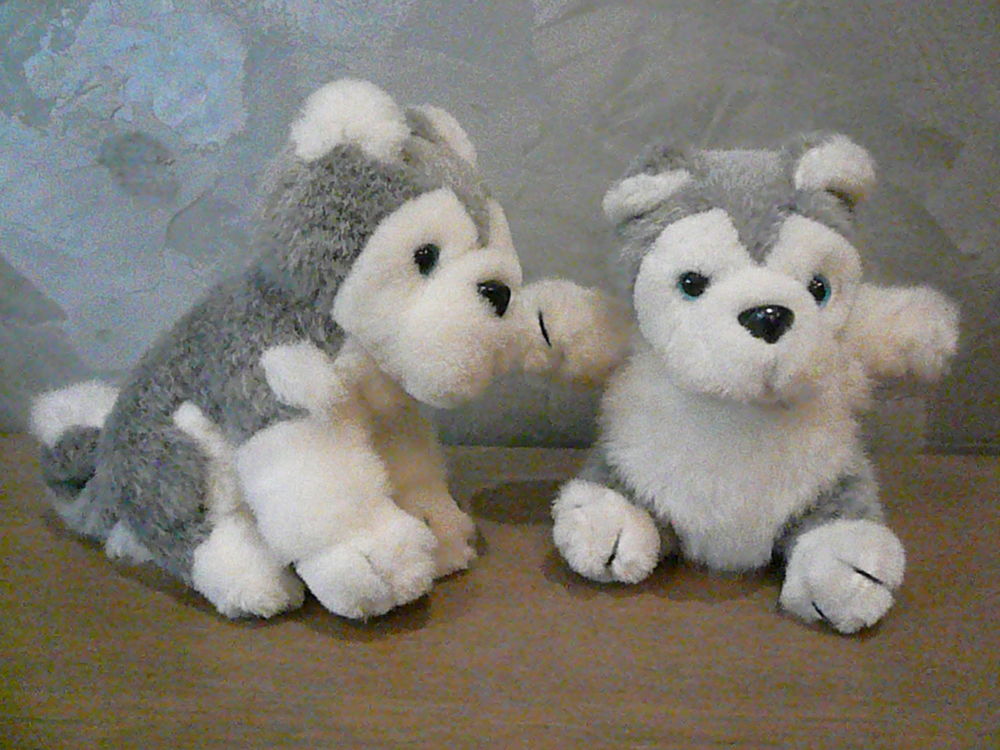 Lot de 2 chiens en peluche 10 Franqueville-Saint-Pierre (76)