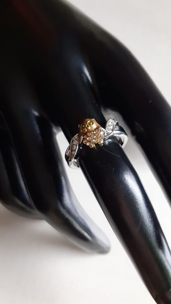 Chouette bague 2 tons 10 S�zanne (51)