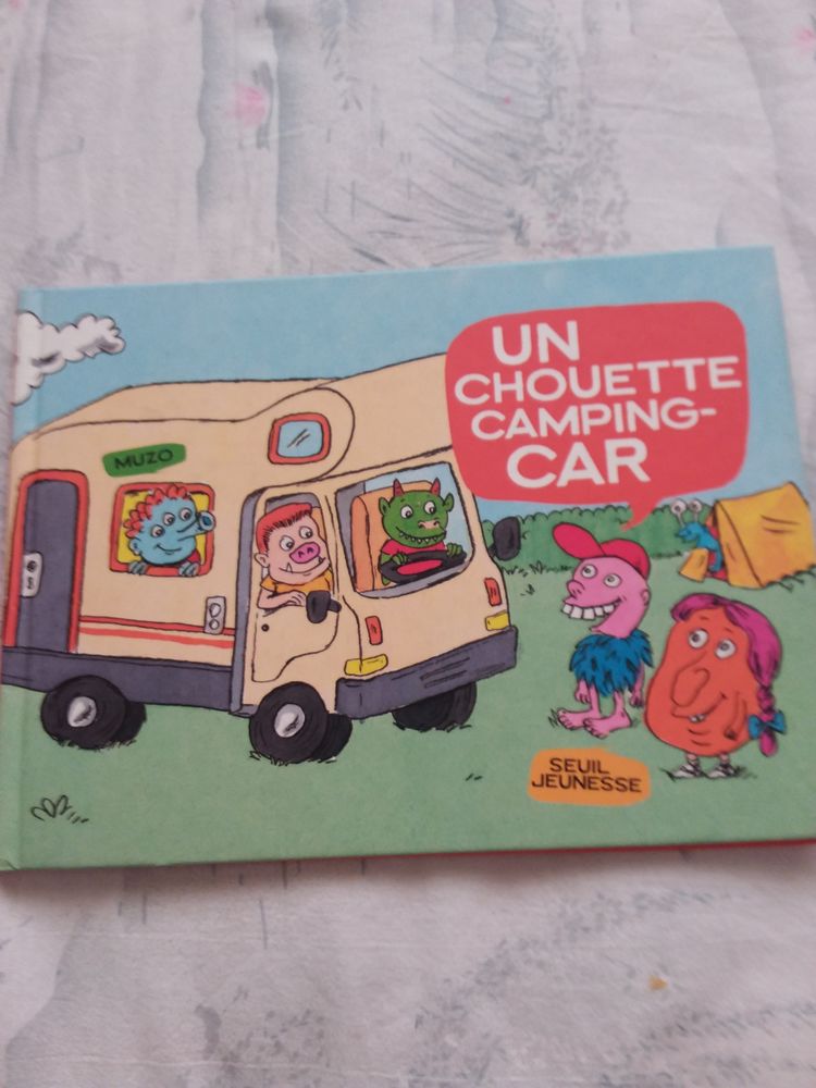 Un chouette camping car 2 Faulx (54)
