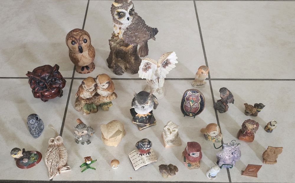 Lot chouettes et hiboux 40 Viviers-du-Lac (73)