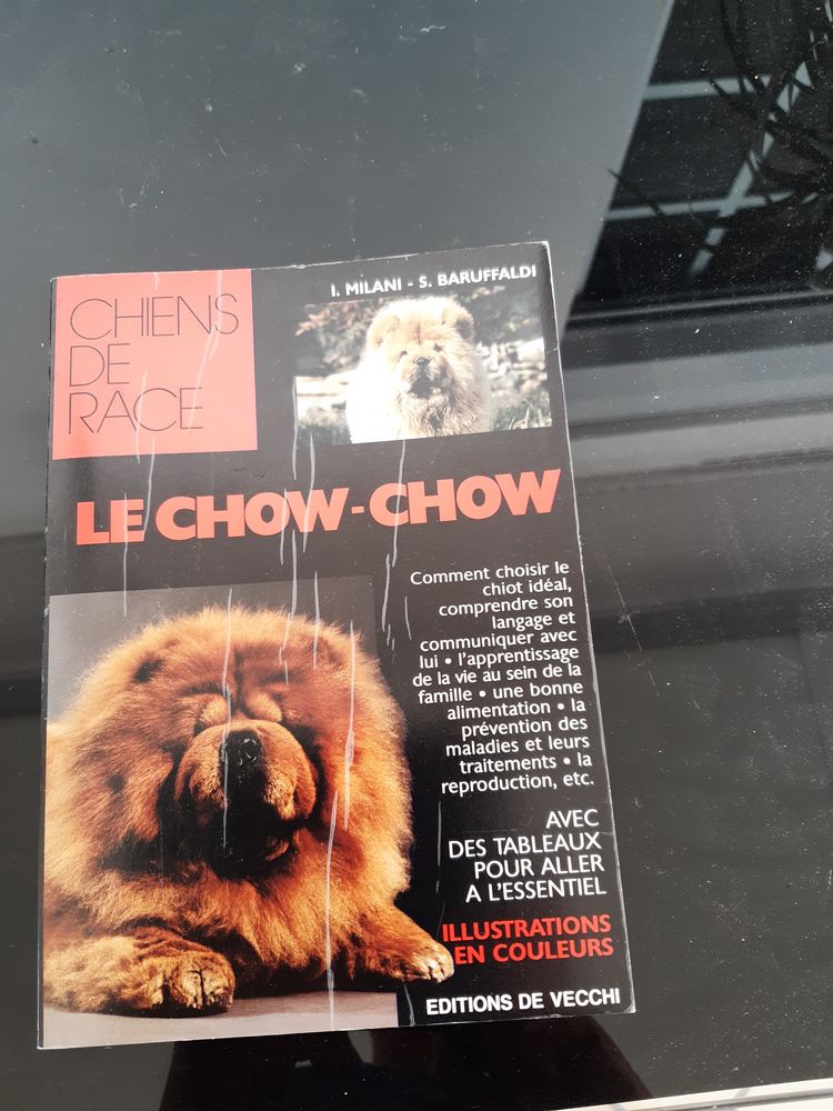 Le Chow- Chow 5 Aytr� (17)