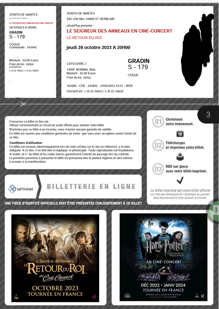 Cin� concert Retour du Roi Nantes 55 Orvault (44)