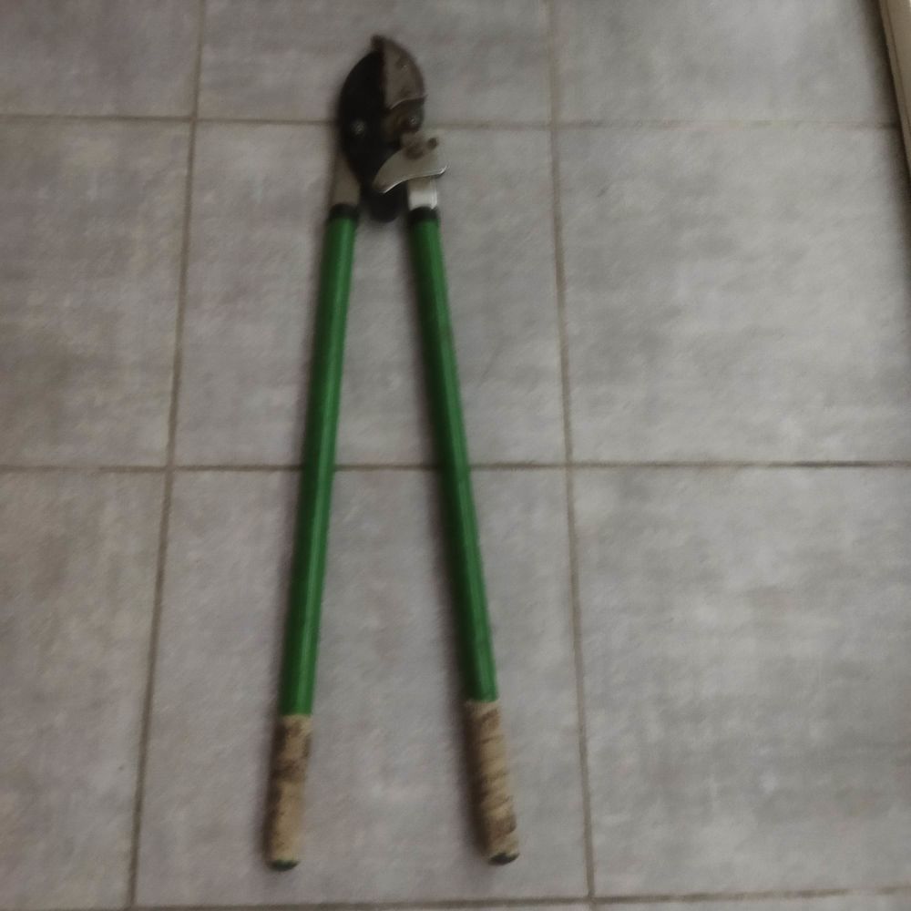 Cisaille � branches 15 Montpellier (34)