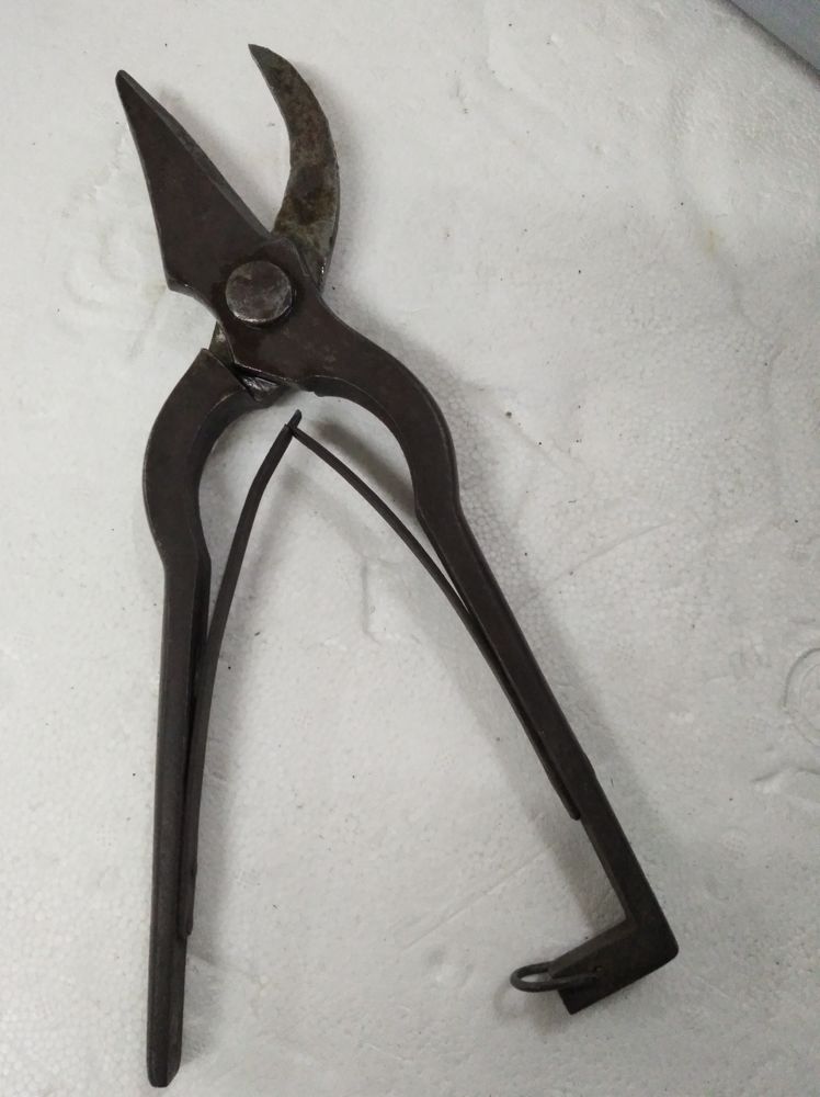 Cisaille coupe branches 5 Le Creusot (71)