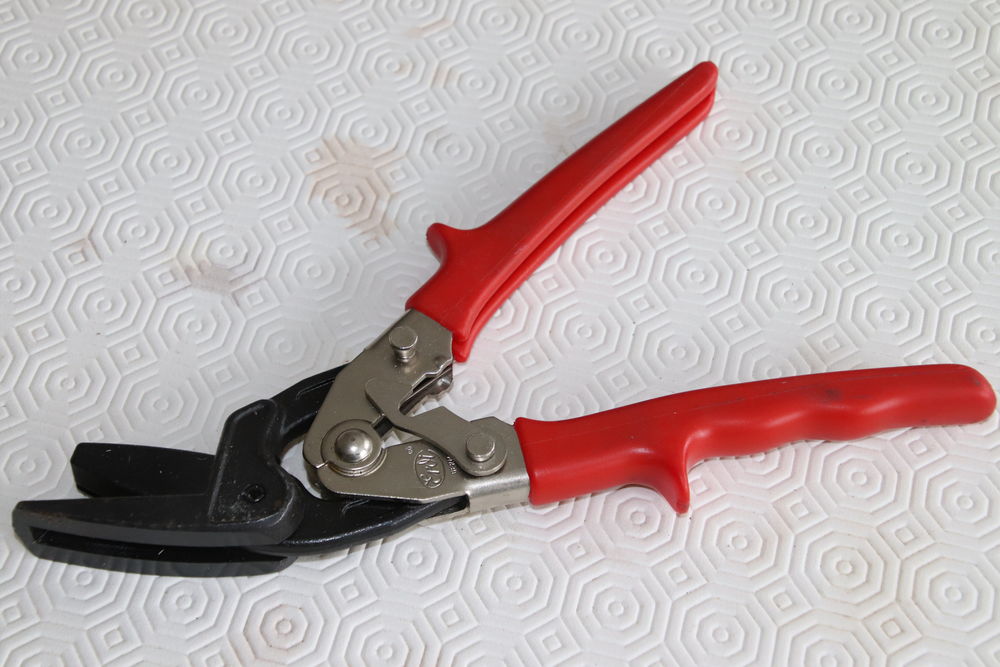 CISAILLE POUR FUEILLARD 15 Saint-Jean-de-la-Ruelle (45)