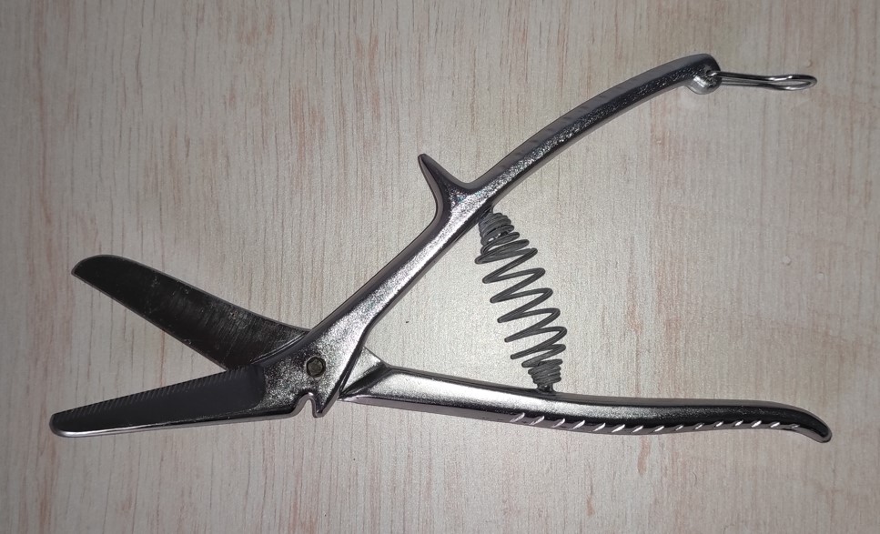 Cisaille 10 Metz (57)