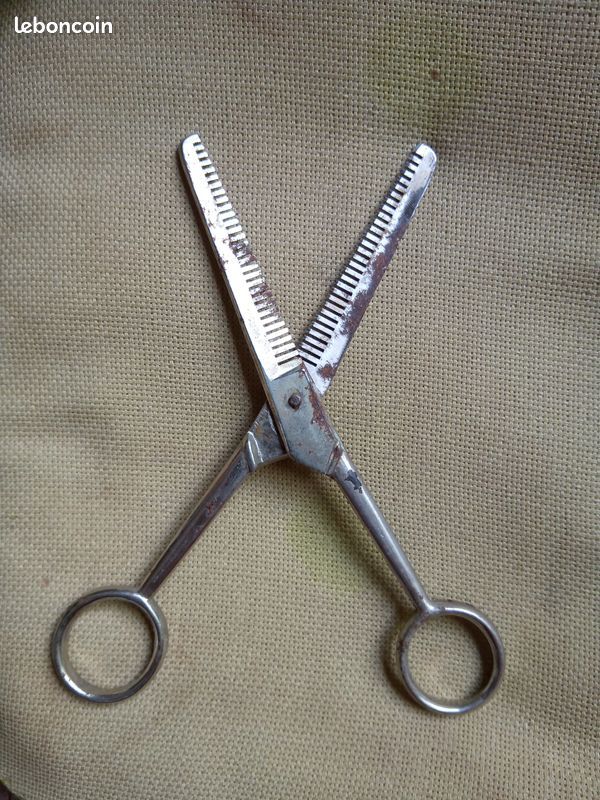 Ciseau effileur 7 Beauchamp (95)