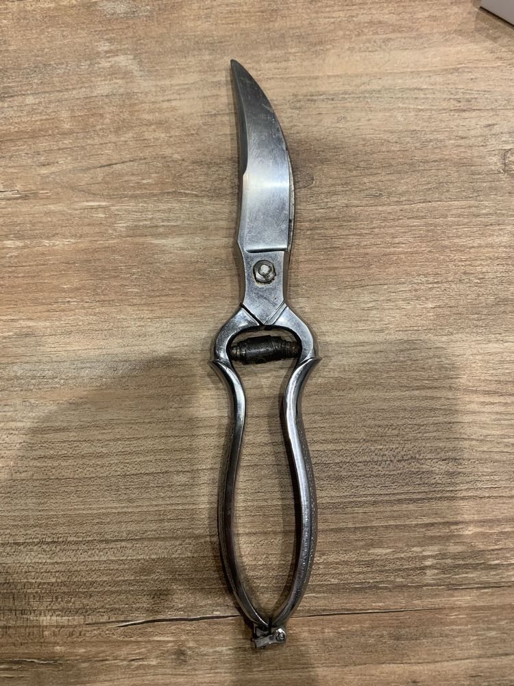 Ciseau � volaille 4 Saleilles (66)