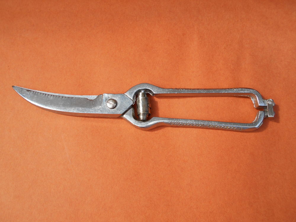 CISEAUX RECOURBES   Awa   4 Dammarie-les-Lys (77)