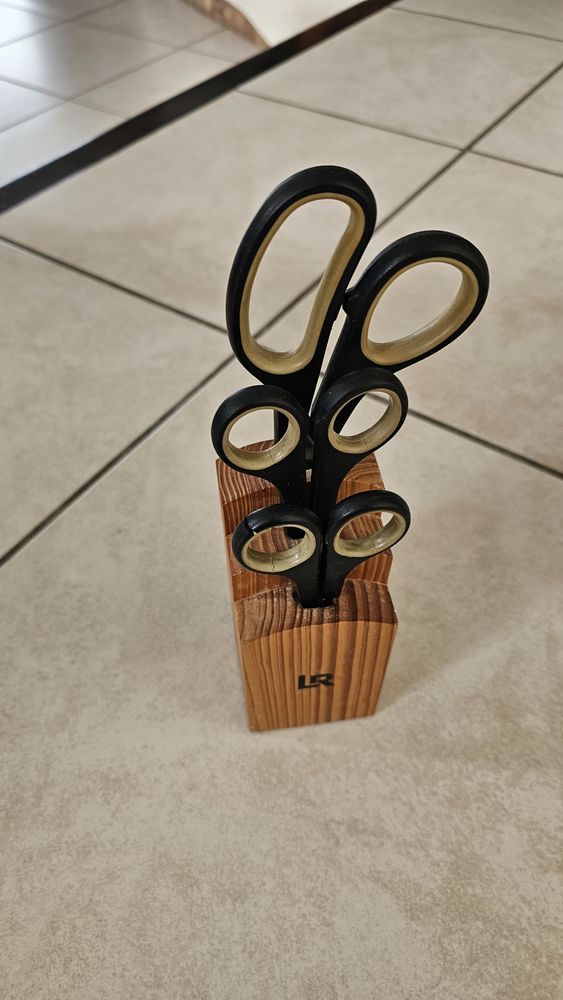 CISEAUX 10 Viviers-du-Lac (73)