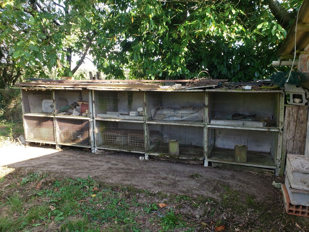 Clapier Lapins 150 Tazilly (58)