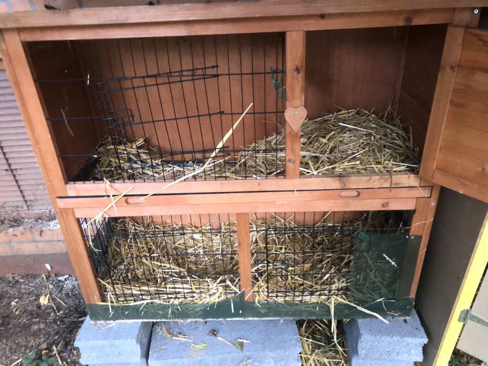 Clapier poulailler 0 Croix (59)