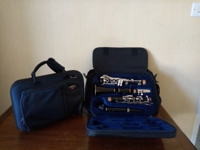 Clarinette Selmer Privil�ge 2500 Meylan (38)