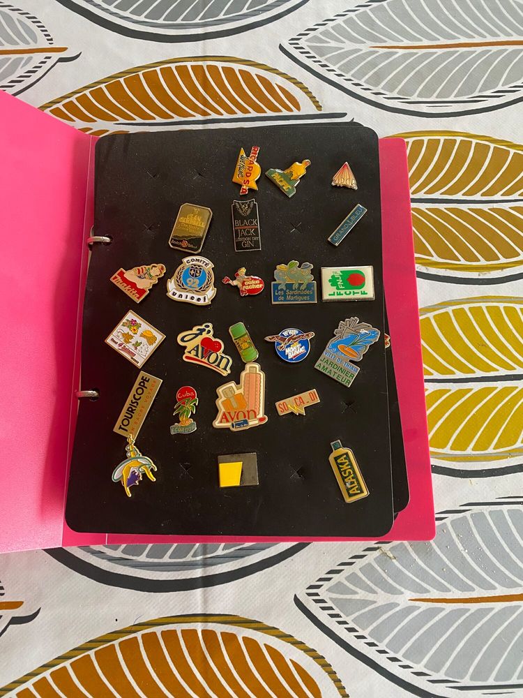 classeur de 75 pin s divers 25 Lamballe (22)