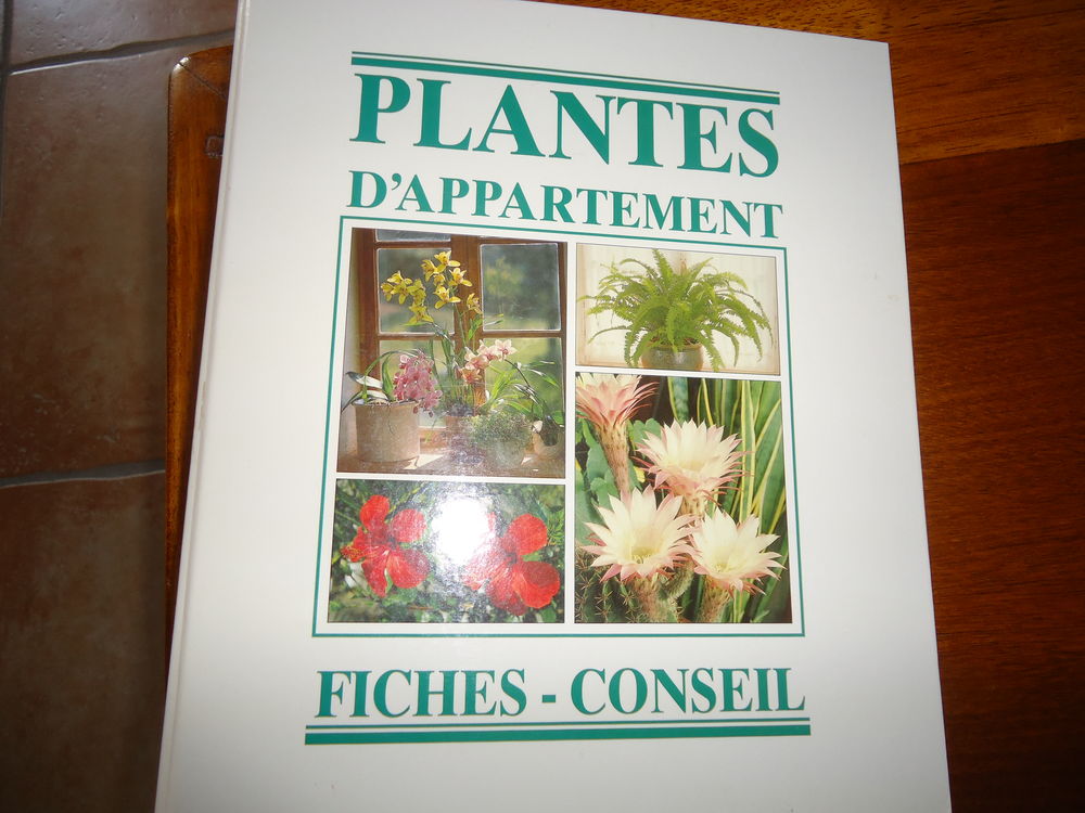 Classeurs plantes d'appartement 15 Doué-la-Fontaine (49)