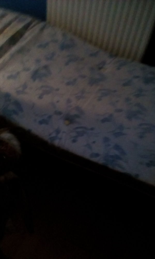  clic-clac pour 1 personne 100 Firminy (42)